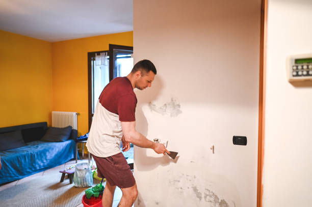 Office Mold Removal Services in North Lakes, AK