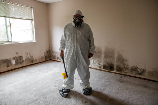Best Office Mold Removal Services  in North Les, AK