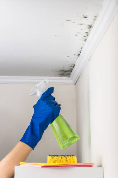Best Crawl Space Mold Removal  in North Les, AK